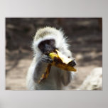 Happy Monkey posters