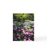 Happy Mother's Day, blank cards