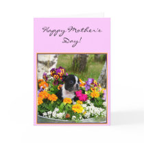 Happy Mother's day Boston Terrier greeting card