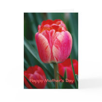 Happy Mother's Day Greeting Card