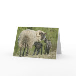 Happy Mother's Day cards