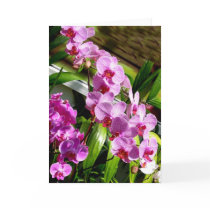 happy mother's day card