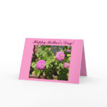 Happy Mother's Day! cards