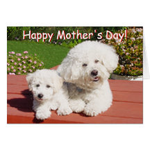 Happy Mother's Day Card
