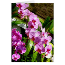 happy mother's day card