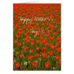 Happy Mother's Day!!! Card