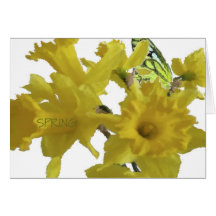 Happy Mother's Day Daffodils Card