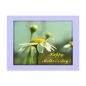 Happy Mother's day flowers postcards