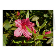 Happy Mother's Day Greeting Card