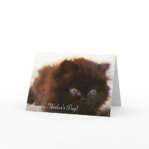 Happy Mother's Day persian kitten greeting card