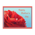 Happy Mother's day - pink rose postcards