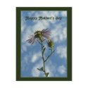 Happy Mother's day postcards