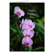 Happy Mother's Day Purple Phalaenopsis Orchid Card