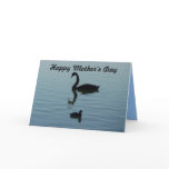 Happy Mother's Day - Swan and baby Card