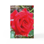 Happy Mother's Day, To A Special Mum