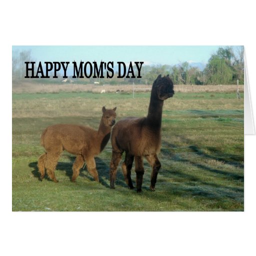 Happy Mum's Day Cards