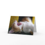 Happy (Nappy) Birthday - Yawning Kitty cards