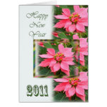 Happy New Year Card - Pink Poinsettias