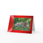 HAPPY NEW YEAR - CHINESE NEW YEAR 2010 YEAR OF TIG GREETING CARD