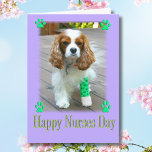 Happy Nurses Day With Spaniels Bandaged Foot Card