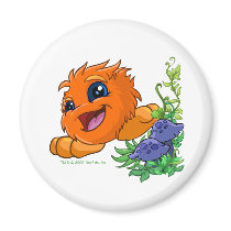 Happy orange JubJub in Neopia Central magnets