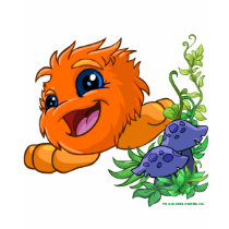 Happy orange JubJub in Neopia Central t-shirts