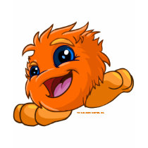 Happy orange JubJub t-shirts