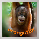 Happy Orangutan posters