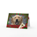 Happy Pawlidays - Micky - Labrador cards
