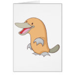 Happy Platypus cards