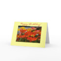 Happy Poppy Birthday Card