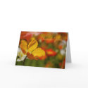 Happy Poppy Thank You Card