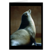 Happy Seal Cards