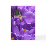 Happy Spring! "Crocuses and Honey Bee" Greeting Cards