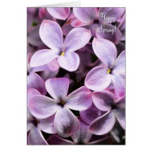 Happy Spring Lilacs Greeting Cards