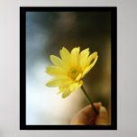 happy spring posters