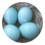 Happy Spring Robins Blue Eggs in Nest, Bird Eggs stickers