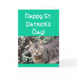 Happy St. Patricks day cat greeting card