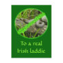 Happy St. Patty's Day No Snakes Post Cards