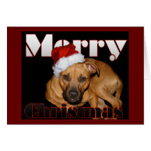 Happy Staffy Christmas Greeting Cards