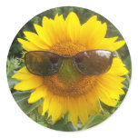 Happy Sunflower Round Stickers
