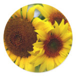 Happy Sunflowers Round Sticker