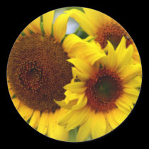 Happy Sunflowers stickers