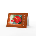 Happy Thanksgiving - Aloha Card