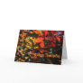 Happy Thanksgiving-Autumn Leaves Cards