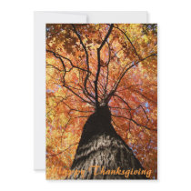 Happy Thanksgiving