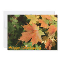 Happy Thanksgiving