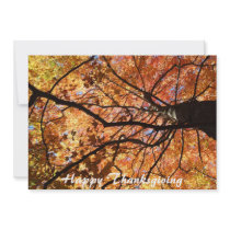 Happy Thanksgiving