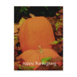 Happy Thanksgiving postcards
