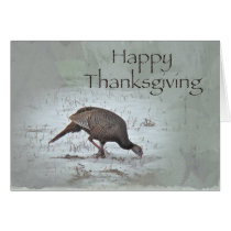 Happy Thanksgiving Wild Turkey Cards